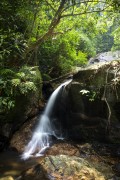 Jequitiba Waterfall - Tijuca National Park - Rio de Janeiro city - Rio de Janeiro state (RJ) - Brazil