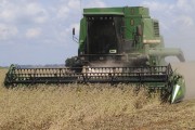 Mechanized Soy Harvesting - Planalto city - Sao Paulo state (SP) - Brazil