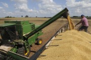 Combine harvester unloading soybeans into bulk truck after harvest - Planalto city - Sao Paulo state (SP) - Brazil