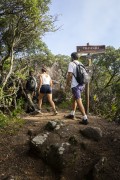 Group of friends walking along the Tijuca Forest trail - Tijuca National Park - Rio de Janeiro city - Rio de Janeiro state (RJ) - Brazil