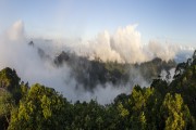 View of Tijuca Peak between clouds from Cocanha Mountain - Tijuca National Park - Rio de Janeiro city - Rio de Janeiro state (RJ) - Brazil
