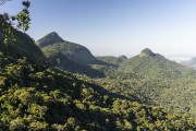 View of the Tijuca Peak - Tijuca National Park - Rio de Janeiro city - Rio de Janeiro state (RJ) - Brazil