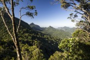 View of Tijuca National Park mountains - Rio de Janeiro city - Rio de Janeiro state (RJ) - Brazil