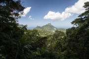 View of Rock of Gavea from Vista do Almirante - Tijuca National Park - Rio de Janeiro city - Rio de Janeiro state (RJ) - Brazil