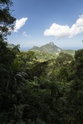 View of Rock of Gavea from Vista do Almirante - Tijuca National Park - Rio de Janeiro city - Rio de Janeiro state (RJ) - Brazil