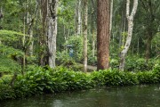 Atlantic Forest landscape with lake in Recanto dos Pintores - Tijuca National Park - Rio de Janeiro city - Rio de Janeiro state (RJ) - Brazil