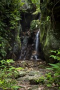 Jequitiba Neighborhood - Tijuca National Park - Rio de Janeiro city - Rio de Janeiro state (RJ) - Brazil