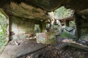Ruins of an old house in the interior of the Tijuca Forest - Tijuca National Park - Rio de Janeiro city - Rio de Janeiro state (RJ) - Brazil