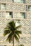 Palm tree and facade of Emiliano Hotel - Rio de Janeiro city - Rio de Janeiro state (RJ) - Brazil