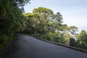 Sumare Road - Tijuca National Park - Rio de Janeiro city - Rio de Janeiro state (RJ) - Brazil