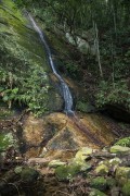 Waterfal - Tijuca National Park - Rio de Janeiro city - Rio de Janeiro state (RJ) - Brazil