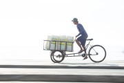 Ice transport by tricycle on the Copacabana Beach bike path - Rio de Janeiro city - Rio de Janeiro state (RJ) - Brazil