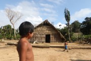 Indian child in the Tatuyo village on the Negro River - Manaus city - Amazonas state (AM) - Brazil