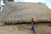 Indigenous children in the Tatuyo village on the Negro River - Manaus city - Amazonas state (AM) - Brazil