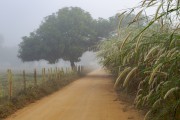 Dirt road - Guarani city rural zone - Guarani city - Minas Gerais state (MG) - Brazil
