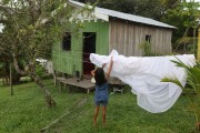 Woman hanging clothes on a clothesline - typical house in Mamiraua Sustainable Development Reserve - Uarini city - Amazonas state (AM) - Brazil