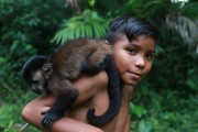 Child with a Capuchin monkey - Mamiraua Sustainable Development Reserve - Uarini city - Amazonas state (AM) - Brazil