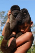 Child with a Woolly Monkey (Lagothrix lagotricha) - Mamiraua Sustainable Development Reserve - Uarini city - Amazonas state (AM) - Brazil