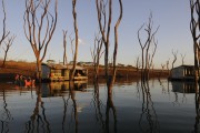 Trees that were submerged in the Marimbondo Hydroelectric Power Plant water reservoir with the lowest water level in the last 45 years - between the states of Sao Paulo and Minas Gerais - Icem city - Sao Paulo state (SP) - Brazil