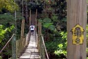 Wooden bridge over Preto River - border of the states of Rio de Janeiro and Minas Gerais - Resende city - Rio de Janeiro state (RJ) - Brazil