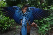 Boy of the Bare tribe with Blue-and-yellow Macaw (Ara ararauna) - also known as the Blue-and-gold Macaw - Manaus city - Amazonas state (AM) - Brazil