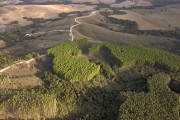 Picture taken with drone of the Eucalyptus monoculture - Transition site between the Cerrado and the Atlantic Forest - Carrancas city - Minas Gerais state (MG) - Brazil