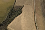 Picture taken with drone of Corn planting between the municipalities of Carrancas and Itutinga - Transition site between the Cerrado and the Atlantic Forest - Carrancas city - Minas Gerais state (MG) - Brazil