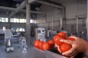 Food Industry - Food Quality Control Center - SENAI - Vassouras city - Rio de Janeiro state (RJ) - Brazil