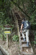 Man climbing stairs (Amado Nervo Stair) at the beginning of the Tijuca National Park trail - Rio de Janeiro city - Rio de Janeiro state (RJ) - Brazil