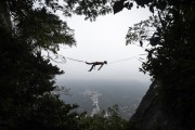 Practitioner of slackline on the top of the Two Brothers Mountain - Rio de Janeiro city - Rio de Janeiro state (RJ) - Brazil