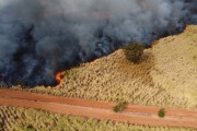 Picture taken with drone of sugarcane plantation drone and forest reserve affected by fire - Sao Jose do Rio Preto city - Sao Paulo state (SP) - Brazil