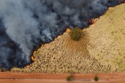 Picture taken with drone of sugarcane plantation drone and forest reserve affected by fire - Sao Jose do Rio Preto city - Sao Paulo state (SP) - Brazil