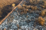 Picture taken with drone of the forest reserve hit by fire - Sao Jose do Rio Preto city - Sao Paulo state (SP) - Brazil