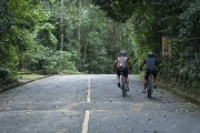 Cyclists on Dona Castorina Road in the area of Mesa do Imperador - Tijuca National Park - Rio de Janeiro city - Rio de Janeiro state (RJ) - Brazil