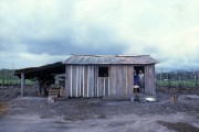 Settlers house on a small rural property - The 80s - Porto Velho city - Rondonia state (RO) - Brazil