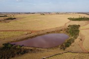 Picture taken with drone of a dam in the middle of a sugarcane plantation with leaves burned by the long dry period - Sao Jose do Rio Preto city - Sao Paulo state (SP) - Brazil
