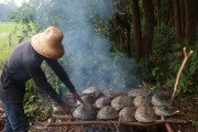 Turtles in an improvised stove to feed fishermen during Pirarucu management - Piagaçu-Purus Sustainable Development Reserve - Beruri city - Amazonas state (AM) - Brazil