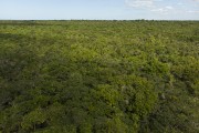 Picture taken with drone of the restinga vegetation area - Aracruz city - Espirito Santo state (ES) - Brazil