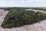 Picture taken with drone of the restinga vegetation area with deforested section - Aracruz city - Espirito Santo state (ES) - Brazil