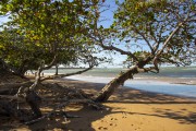 Putiri Beach - Costa das Algas Environmental Protection Area - Aracruz city - Espirito Santo state (ES) - Brazil