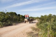 Donkey Wagon on a dirt road - Marataizes city - Espirito Santo state (ES) - Brazil