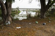 Plastic bags with garbage on the banks of the Paraiba do Sul River, with the Alair Ferreira bridge in the background - Campos dos Goytacazes city - Rio de Janeiro state (RJ) - Brazil