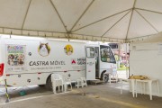 Bus with veterinary installation for castration of domestic animals and dog lying on a table under anesthesia - Guarani city - Minas Gerais state (MG) - Brazil