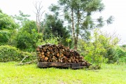 Cut eucalyptus for use in fireplaces and wood stoves - Tres Picos State Park - Teresopolis-Friburgo - Nova Friburgo city - Rio de Janeiro state (RJ) - Brazil
