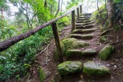 Stone ladder and tree trunk handrail - village of Salinas - Tres Picos State Park - Teresopolis-Friburgo - Nova Friburgo city - Rio de Janeiro state (RJ) - Brazil
