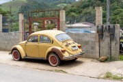 Beetle - village of Salinas - Tres Picos State Park - Teresopolis-Friburgo - Nova Friburgo city - Rio de Janeiro state (RJ) - Brazil