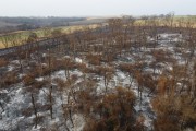 Picture taken with drone of the rural property with a legal reserve forest hit by fire - Olimpia city - Sao Paulo state (SP) - Brazil