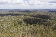 Picture taken with drone of the Sooretama Biological Reserve - the largest continuous area of Atlantic forest in the state - Sooretama city - Espirito Santo state (ES) - Brazil