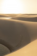 Lagoon and dunes - Lencois Maranhenses National Park  - Santo Amaro do Maranhao city - Maranhao state (MA) - Brazil