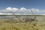 Lagoon and dunes - Lencois Maranhenses National Park  - Santo Amaro do Maranhao city - Maranhao state (MA) - Brazil